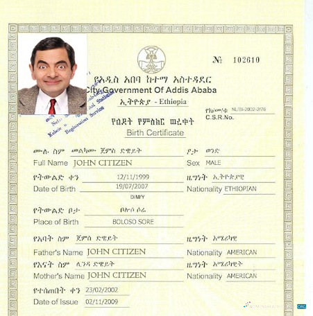 Download Ethiopia Government of Addis Ababa birth certificate Photoshop template